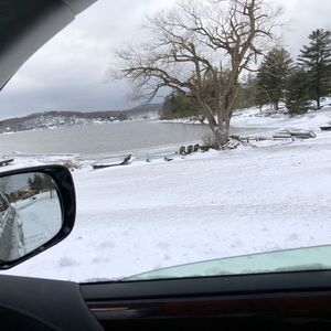 Meet your Posher, Shelly